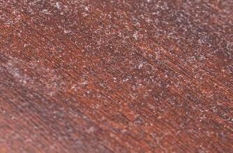 對于家里灰塵的清理，有什么方法嗎？