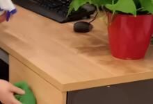 辦公區(qū)域保潔要做哪些呢？