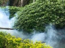 四害消殺完成后，需要做哪些鞏固工作呢？